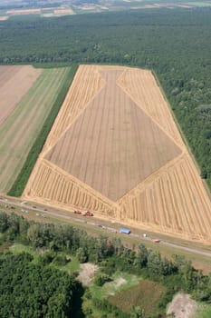 Aerial View: Golden Wheat field
