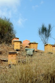 Wooden man made beehive boxes in a forest. Honey production.