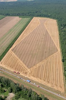 Aerial View: Golden Wheat field