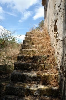 Grassed stone stairs of an abandoned house.