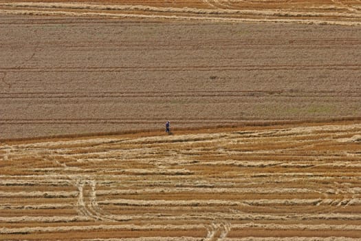 Aerial View: man in wheat field