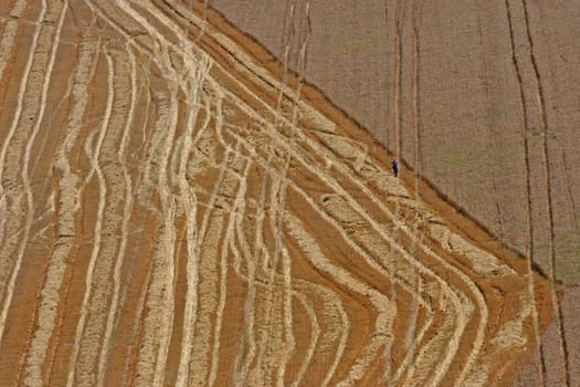 Aerial View: man in wheat field
