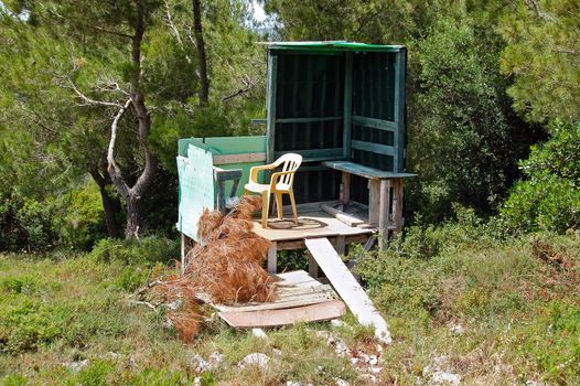 Elevated bird hunting blind in a forest.