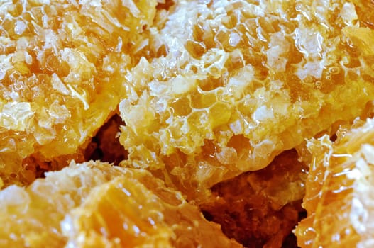 Close up photo of honey comb filled with honey