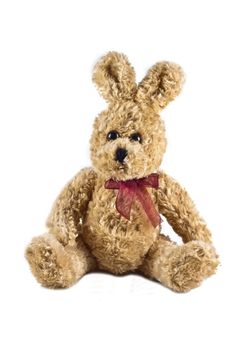 Photo of an old plush hare