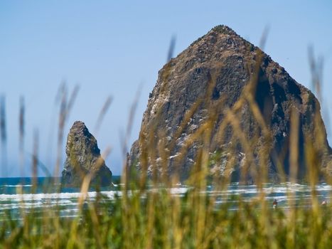 Rugged Rocky Beach on the Oregon Coast featuring Haystack Rock