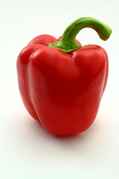 Pepper photo on a white background