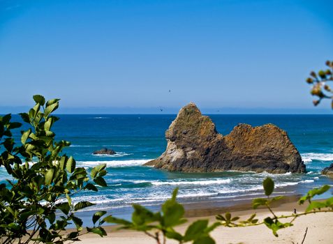 Rugged Rocky Beach on the Oregon Coast Overlook