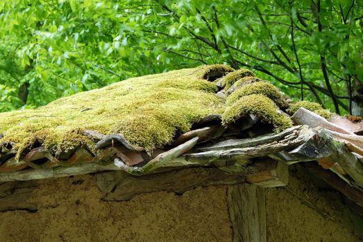 architecture details, moss on tiled roof of old earth house in Serbia