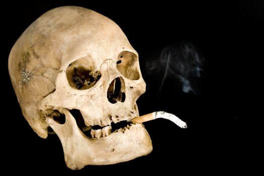 Human skull smoking. Isolated on a black background.