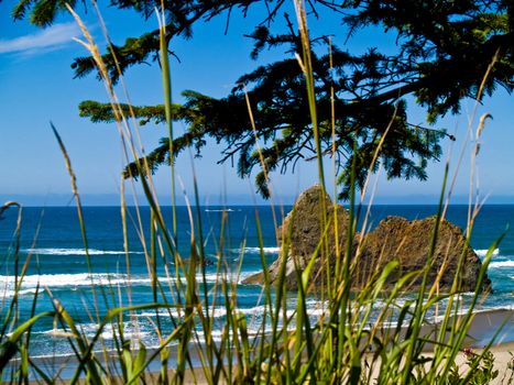 Rugged Rocky Beach on the Oregon Coast Overlook