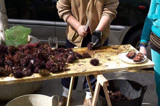 Sea urchin on market.