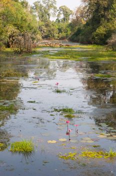 a river in front of Phnom Bakheng in Cambodia