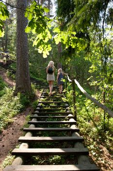 Wooden stairs on a hiking trail in a forest