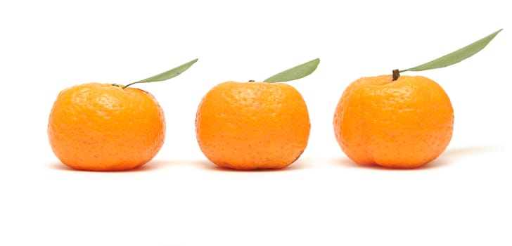 Three ripe tangerines with leaves