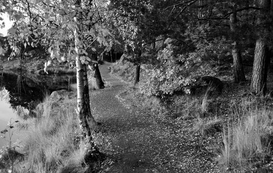 "Baneheia", - Kristiansand Municipality forest. Nature Park. Kristiansand kummuneskog. Baneheia.