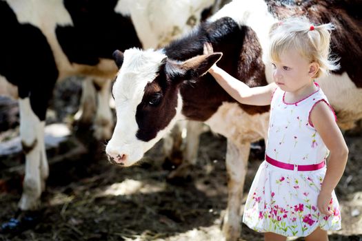 smalll girl and a cow 