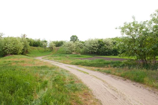 road in spring green field