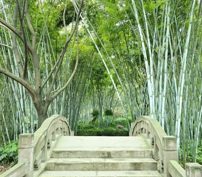 the bamboo groves and small bridge
