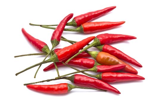 Fresh red chilli closeup on white background