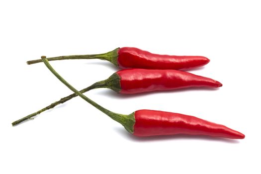 Fresh red chilli isolated on white background 