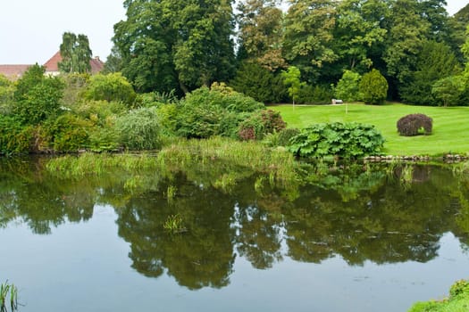 Beautiful city garden with tress and plants reflection in a lake