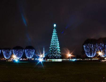 Christmas tree in square in St. Petersburg, Russia