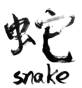 Chinese calligraphy word : snake