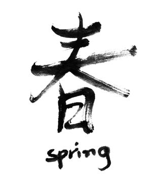 Chinese calligraphy word : spring