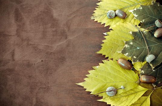 Rusted leafs on wood background