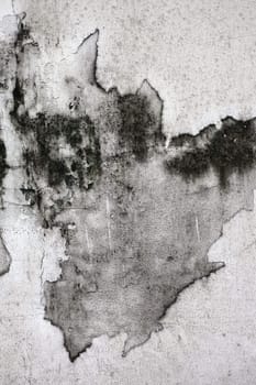 The Grunge cracked concrete wall for design