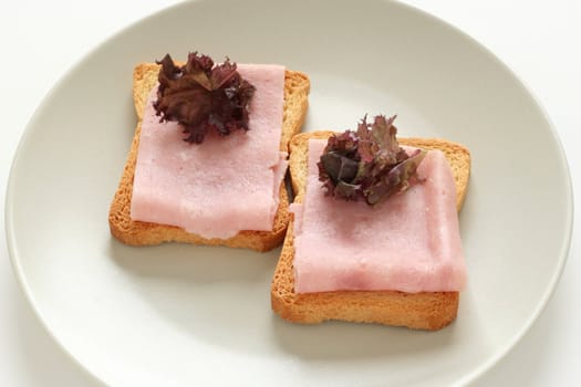 Toasts with ham