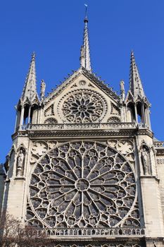 Notre Dame Cathedral - Paris