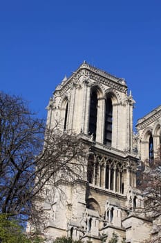 Notre Dame Cathedral - Paris