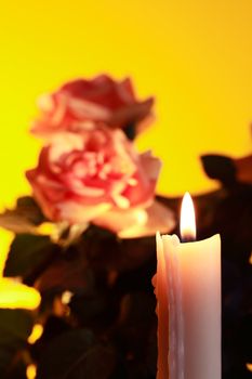 Closeup of lighting candle on yellow background with flowers