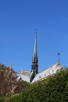 Notre Dame Cathedral - Paris