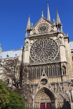 Notre Dame Cathedral - Paris