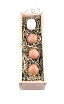 Three brown and one white eggs in wooden box on white background