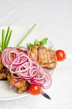 Grilled kebab meat with onion and tomato on a white plate