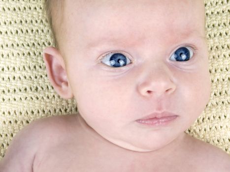 Closeup picture of newborn baby face with big blue eyes