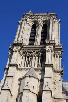 Notre Dame Cathedral - Paris