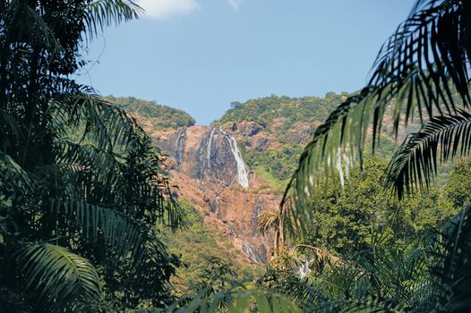 Waterfall Dudhsagar in Goa. Indian National Park