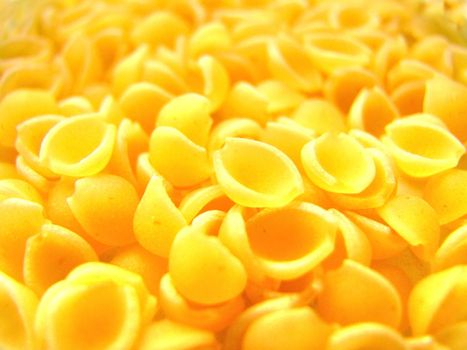 The pasta background close up