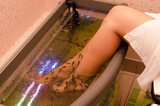 Fish spa pedicure wellness skin care treatment