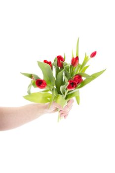 Hand with bunch of tulips