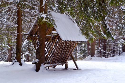 empty timber feeder for wildlife in snowy forest