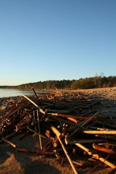 Autumnal beach. Russia. near Saint-Petersburg (60km).