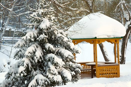 Winter scene. After snowstorm, February 2008, Belokurikha resort.