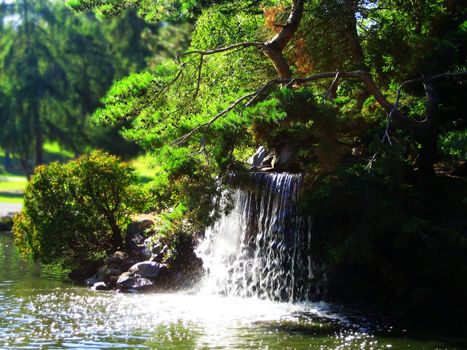 Waterfall at Point Defiance Park in Tacoma Washington.