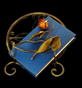 Dried-out rose on blue book and bookstand isolated on black